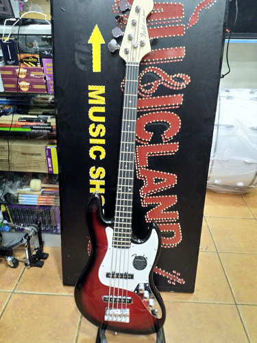 5 Strings bass guitar